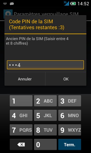Saisissez votre Ancien PIN de la SIM et sélectionnez OK