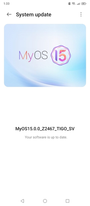 If your phone is up to date, you will see the following screen