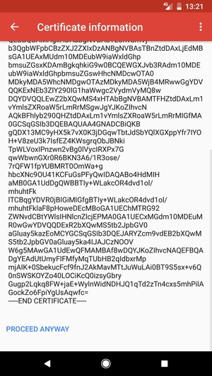 Scroll to and select PROCEED ANYWAY