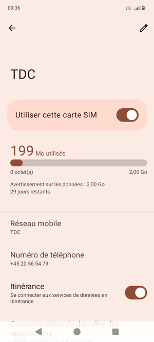Activer ou désactiver Itinérance