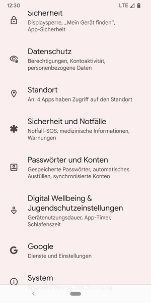Scrollen Sie und wählen Sie Passwörter und Konten