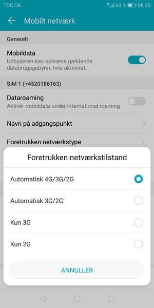Vælg din foretrukne mulighed