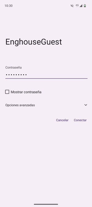 Introduzca la contraseña de Wi-Fi y seleccione Conectar