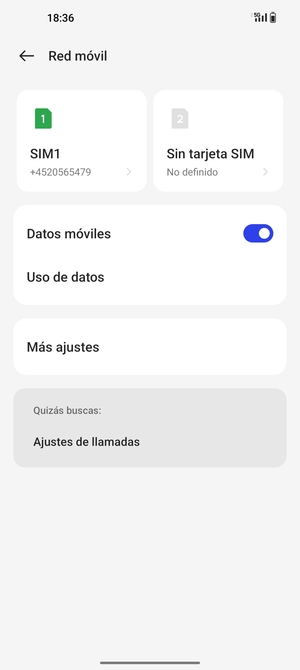 Seleccione SIM1 o SIM2