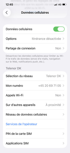 Faites défiler et sélectionnez Réseau de données cellulaires