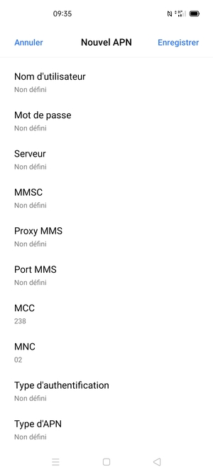 Faites défiler vers le bas et saisissez les informations Internet
