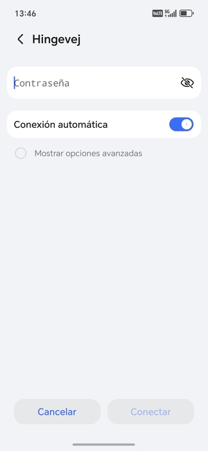 Introduzca la contraseña de Wi-Fi y seleccione Conectar