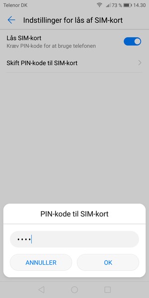 Indtast din Gamle PIN-kode til SIM-kort og vælg OK
