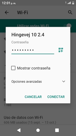 Introduzca la contraseña de Wi-Fi y seleccione CONECTAR