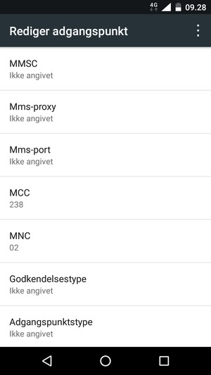 Scroll ned og indtast internet-oplysninger
