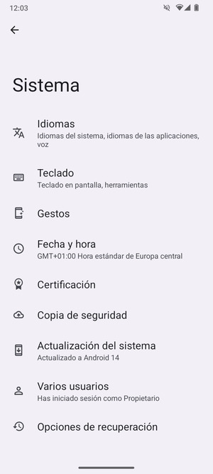 Seleccione Actualización del sistema