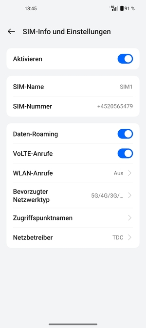 Schalten Sie Daten-Roaming an oder aus