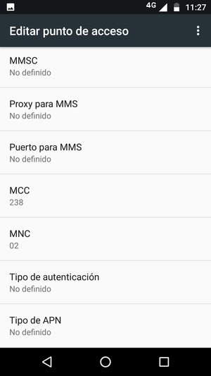 Desplácese hacia abajo e introduzca la información de Internet