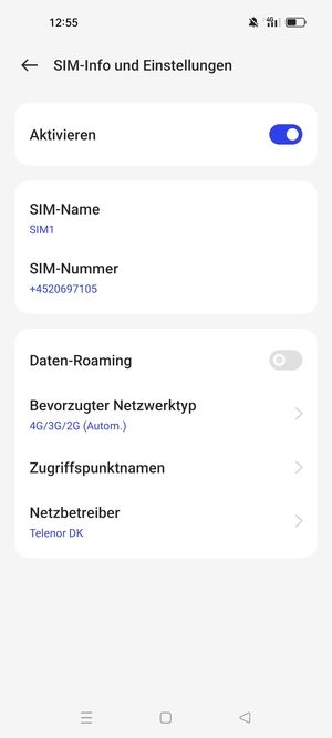 Wählen Sie Bevorzugter Netzwerktyp