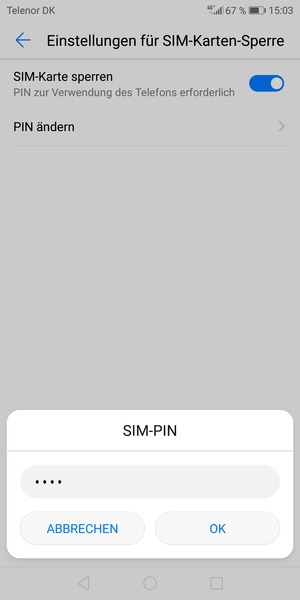 Geben Sie Ihre Alte PIN der SIM-Karte ein und wählen Sie OK