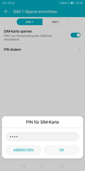 Geben Sie Ihre Alte PIN für SIM-Karte ein und wählen Sie OK