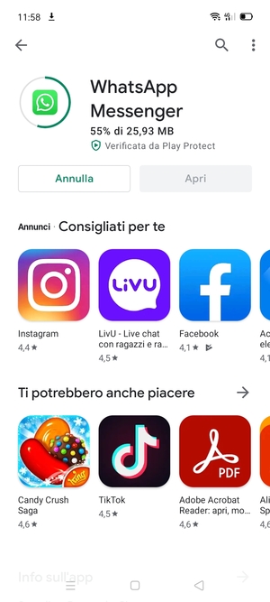 Attendi il completamento del processo di installazione