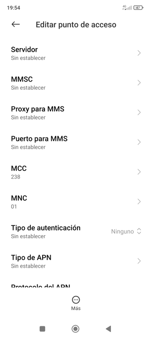 Desplácese hacia abajo e introduzca la información de Internet