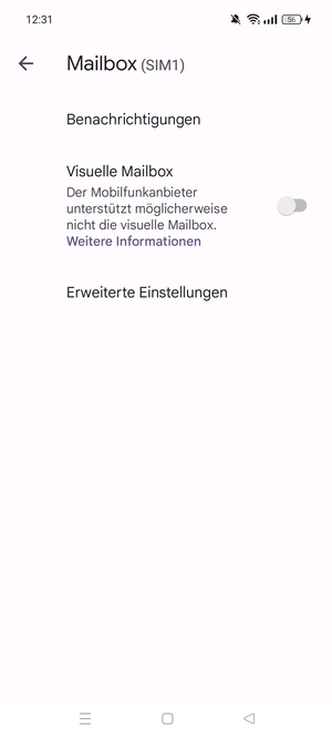 Wählen Sie Erweiterte Einstellungen