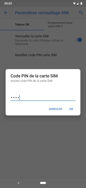Saisissez Ancien code PIN de la carte SIM et sélectionnez OK