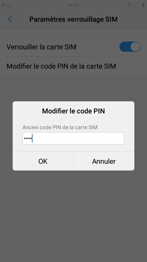 Saisissez votre Ancien code PIN de la carte SIM et sélectionnez OK