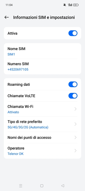 Attiva o disattiva Roaming dati