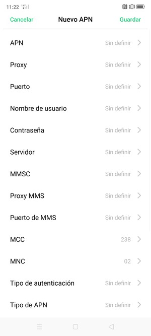 Desplácese hacia abajo e introduzca la información de Internet