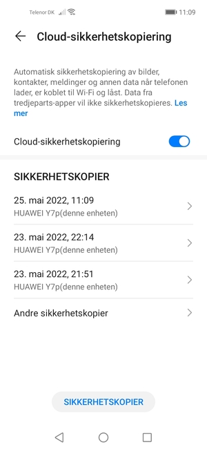 En sikkerhetskopi er nå opprettet