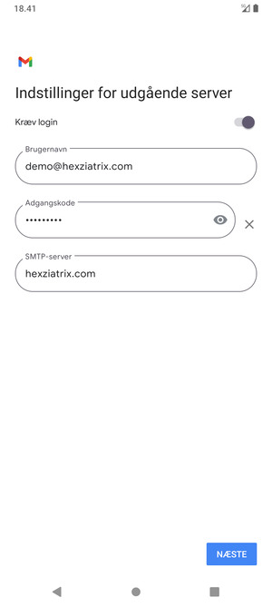 Indtast udgående serveradresse og vælg NÆSTE