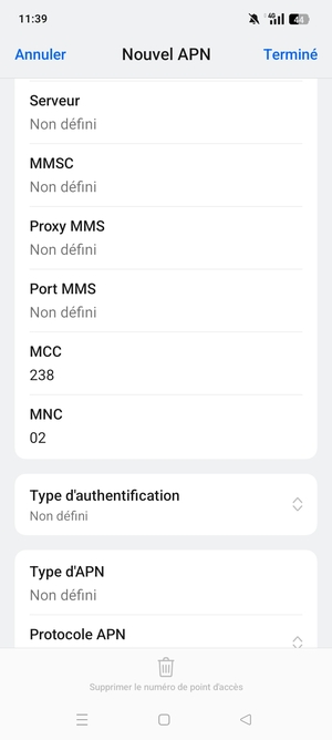 Faites défiler vers le bas et saisissez les informations Internet