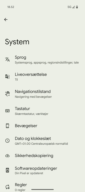 Vælg Sikkerhedskopiering