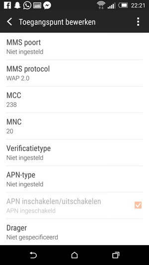 Scrollen Sie nach unten und geben Sie Ihre Internetinformationen ein
