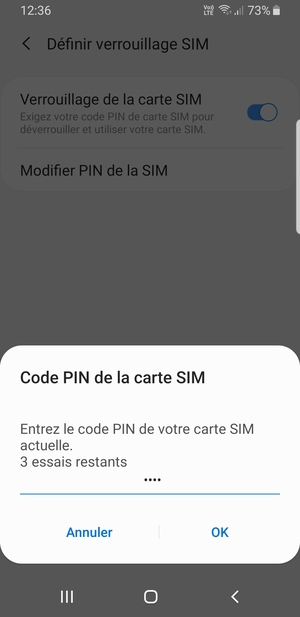 Saisissez votre Code PIN de la carte SIM actuelle et sélectionnez OK