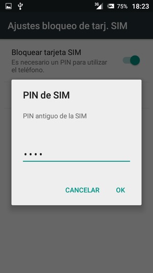 Introduzca su PIN antiguo de la SIM y seleccione OK