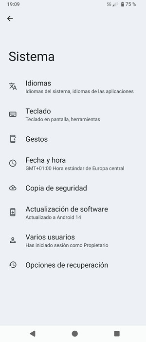 Seleccione Actualización de software