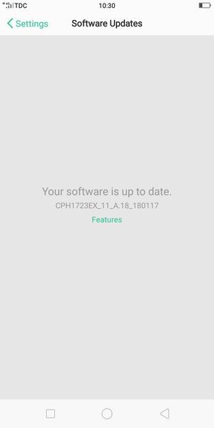 If your phone is up to date, you will see the following screen