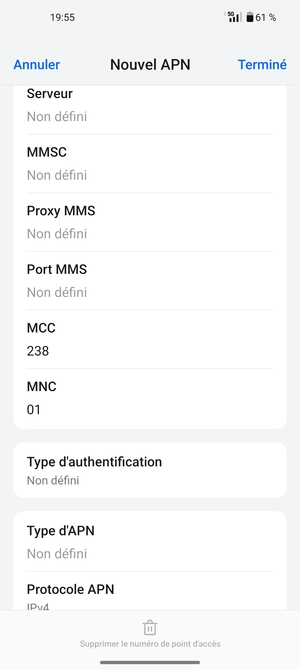 Faites défiler vers le bas et saisissez les informations Internet