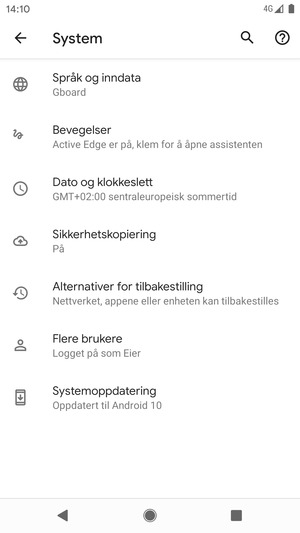 Velg Systemoppdatering