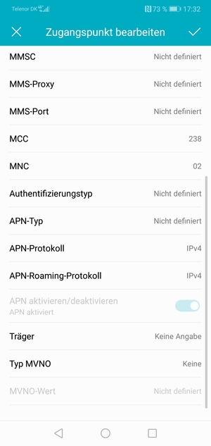 Scrollen Sie nach unten und geben Sie Internetinformationen ein