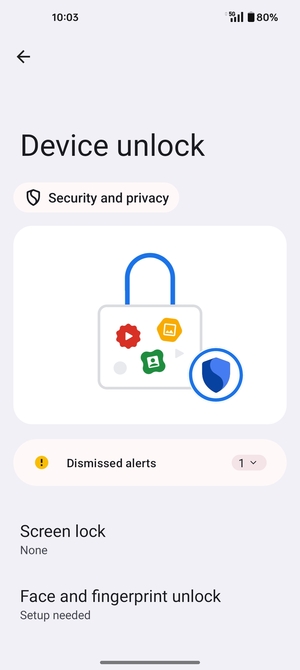 Select Screen lock