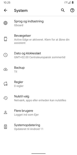 Vælg Systemopdatering