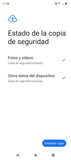 Seleccione Gestionar copia
