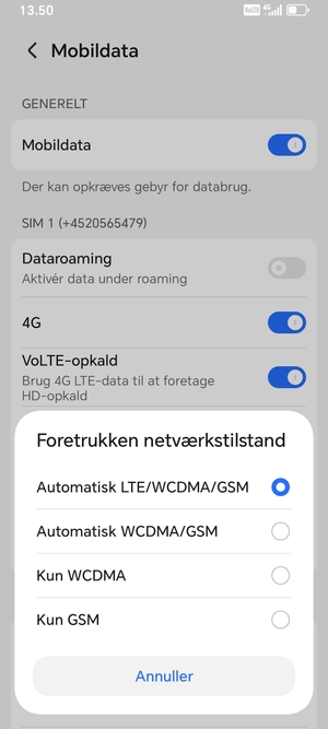 Vælg din foretrukne mulighed