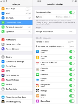 Sélectionnez Données cellulaires puis Options