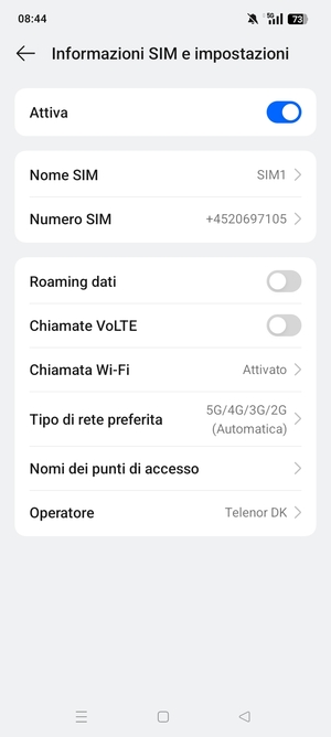 Seleziona Tipo di rete preferita