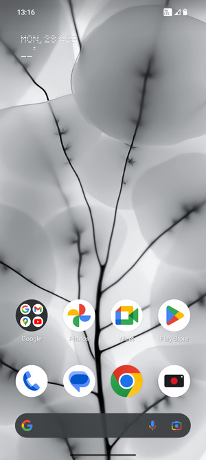 Select Play Store