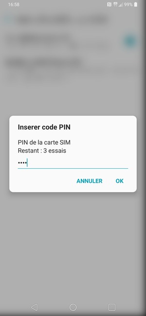 Saisissez votre Ancien PIN de la carte SIM et sélectionnez OK