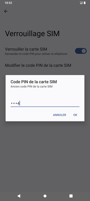 Saisissez Ancien code PIN de la carte SIM et sélectionnez OK