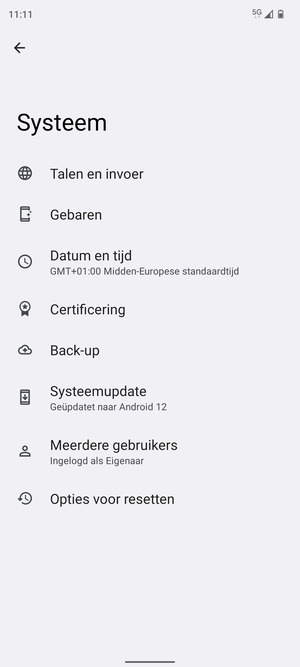 Selecteer Systeemupdate