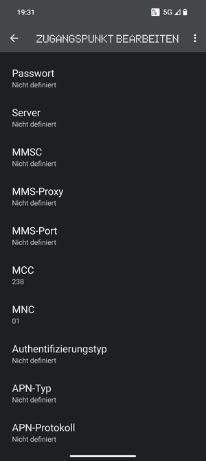 Scrollen Sie nach unten und geben Sie Internetinformationen ein